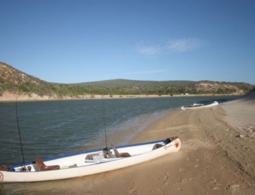 Sundays River Fishing Safari