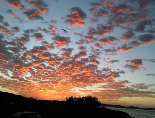 Sunset Fishing