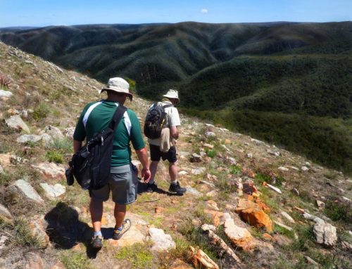 Addo Hiking Tour