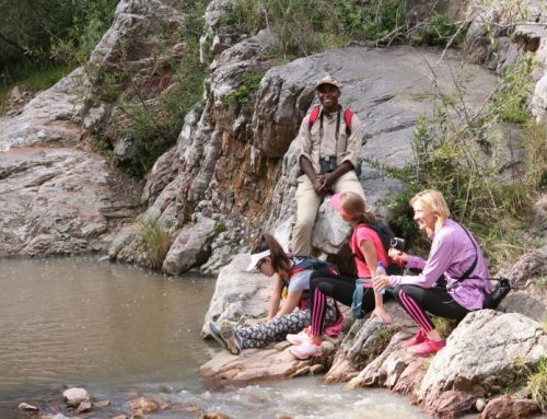 Addo Hiking Tour