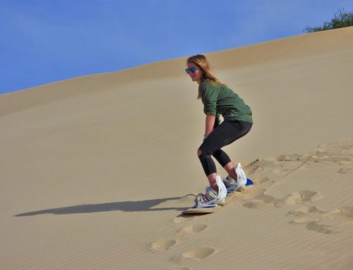 Sandboarding