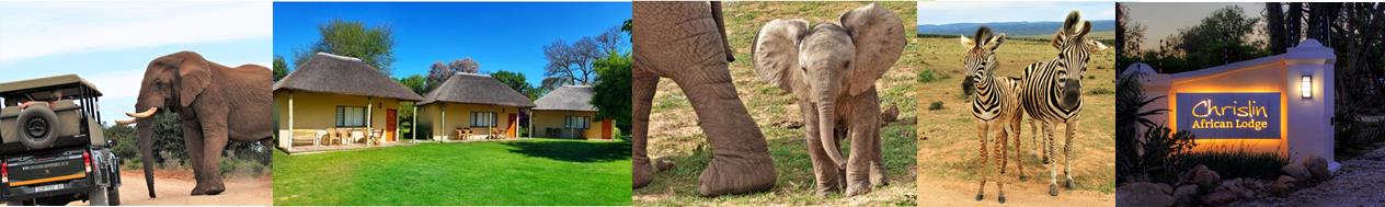 Addo African Sp 2