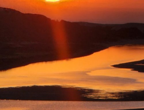 Addo Sunrise boat cruise 5