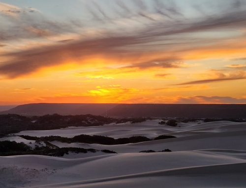 Addo Sunrise boat cruise 6